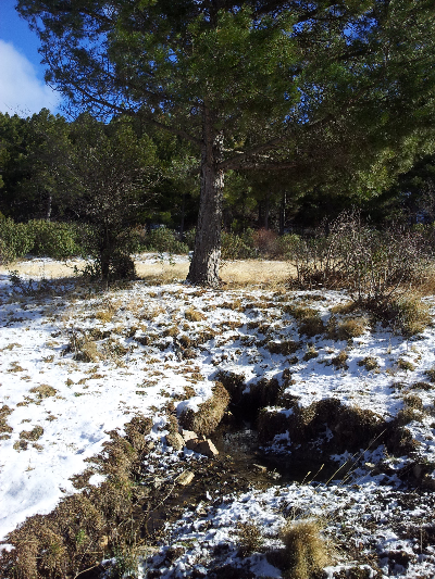 Imagen de PEÑA PARDA