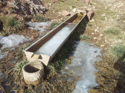 Imagen de SALOBREJA