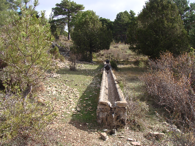 Imagen de SAN PEDRO