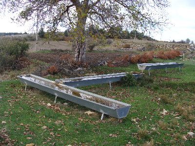 Imagen de HUERTO DEL PINO