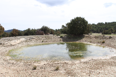 Imagen de POZO POZUELO