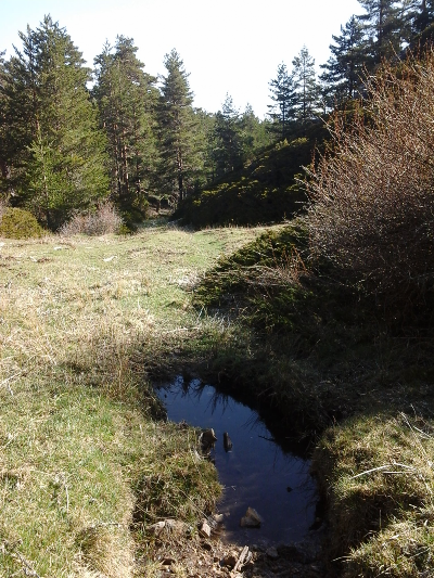 Imagen de JUAN RUBIO