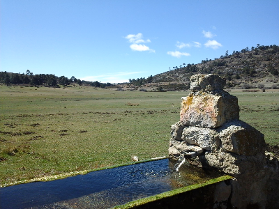 Imagen CAÑADA O ¿GAMELLONES DE LA CAÑADA?