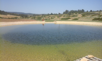 Imagen de PIOJOSA