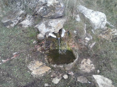 Imagen de LOBERA