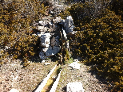 Imagen de MELCHORA