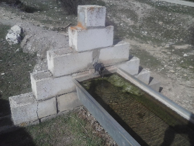Imagen de GATOS