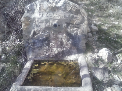 Imagen de CALONCHO