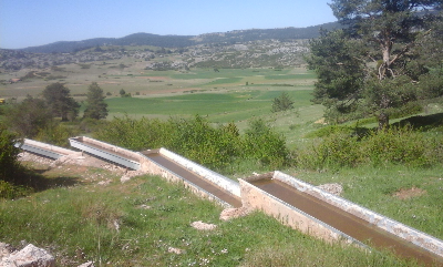 Imagen de BUITRE