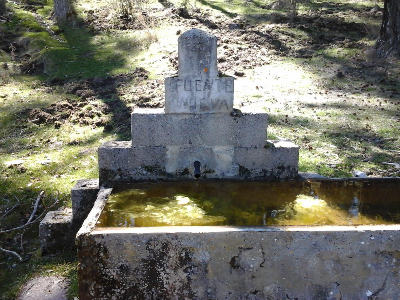 Imagen de NUEVA